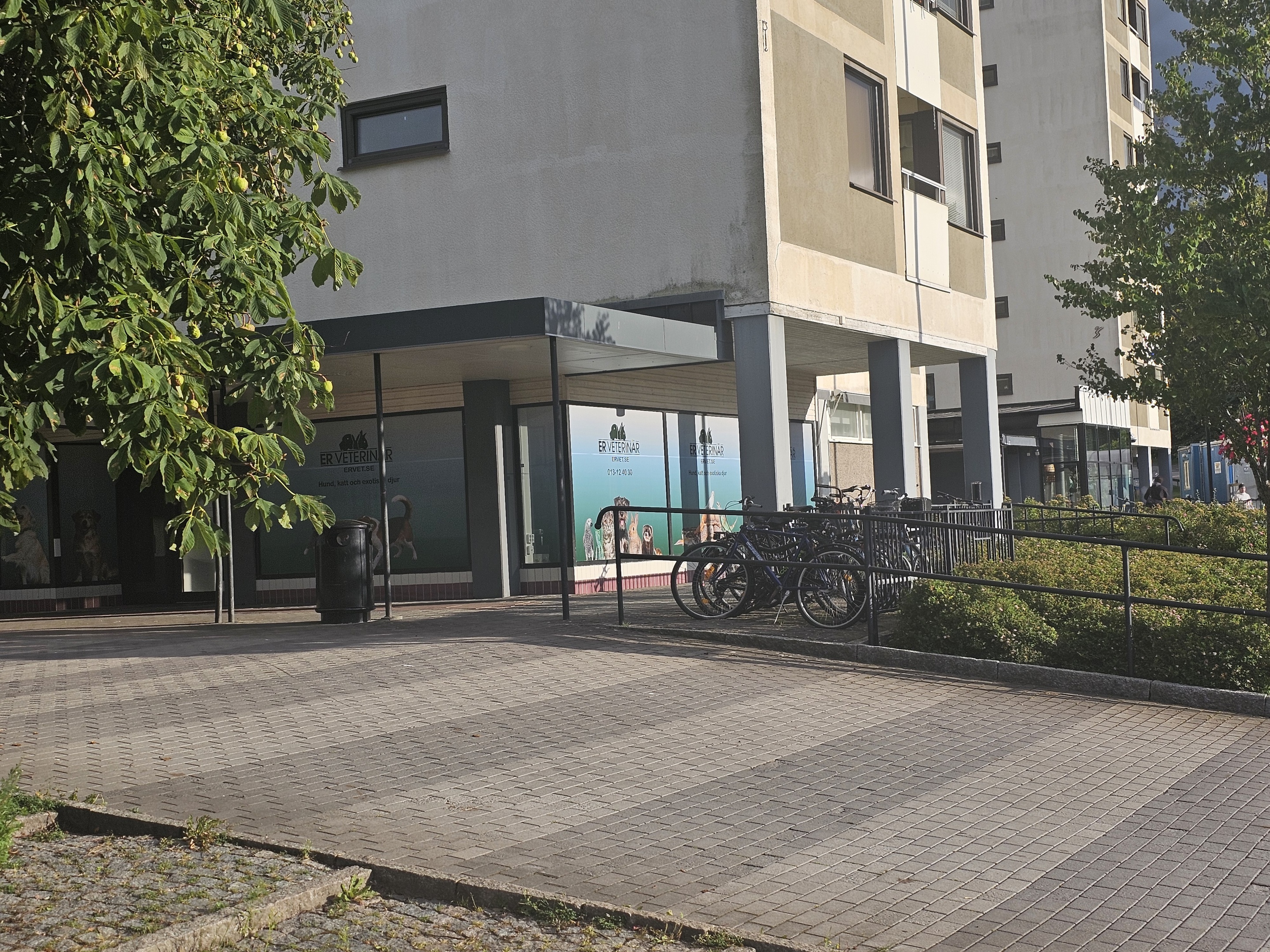 Alla stora fönster på kliniken