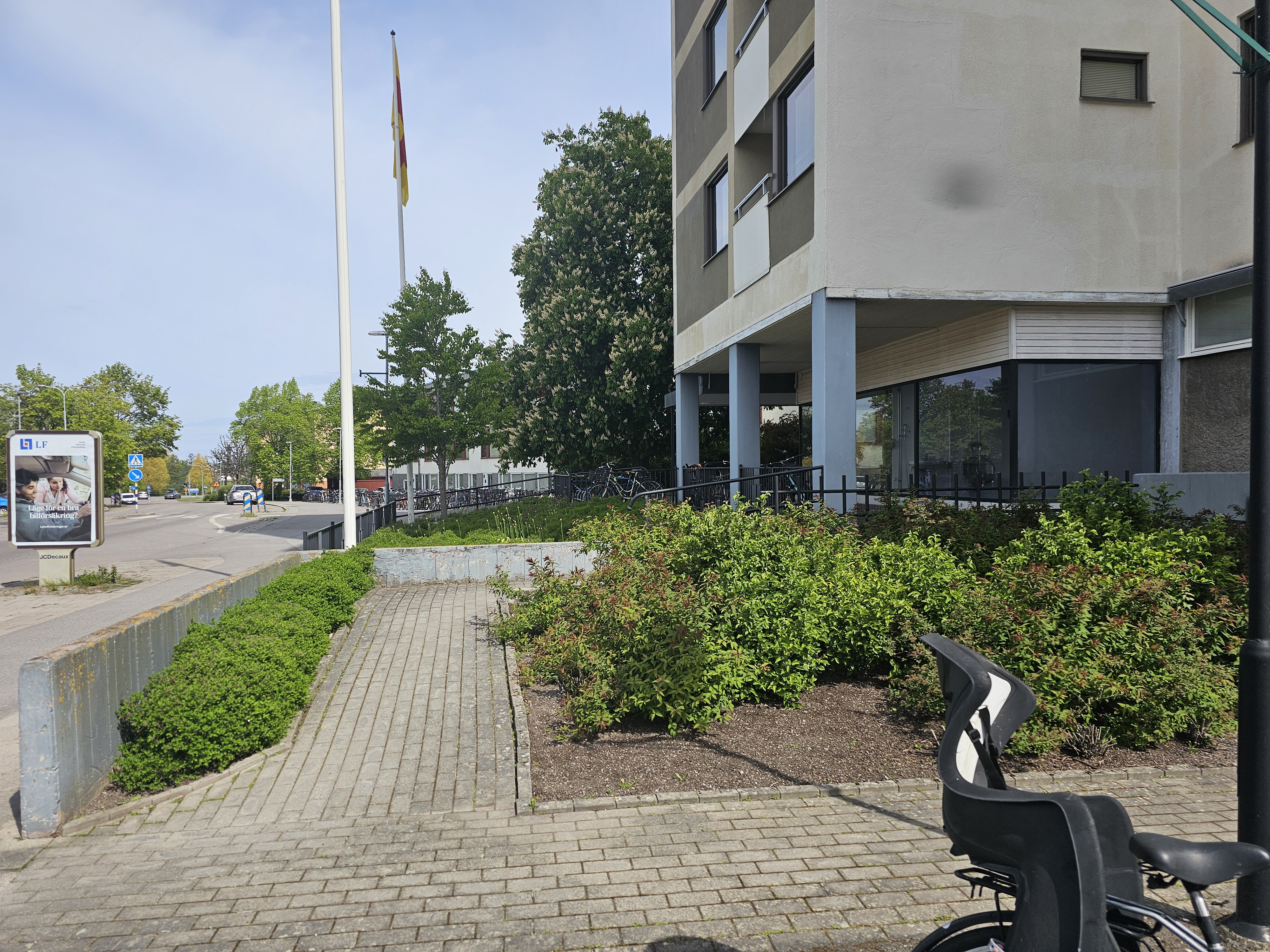 Alla stora fönster på kliniken