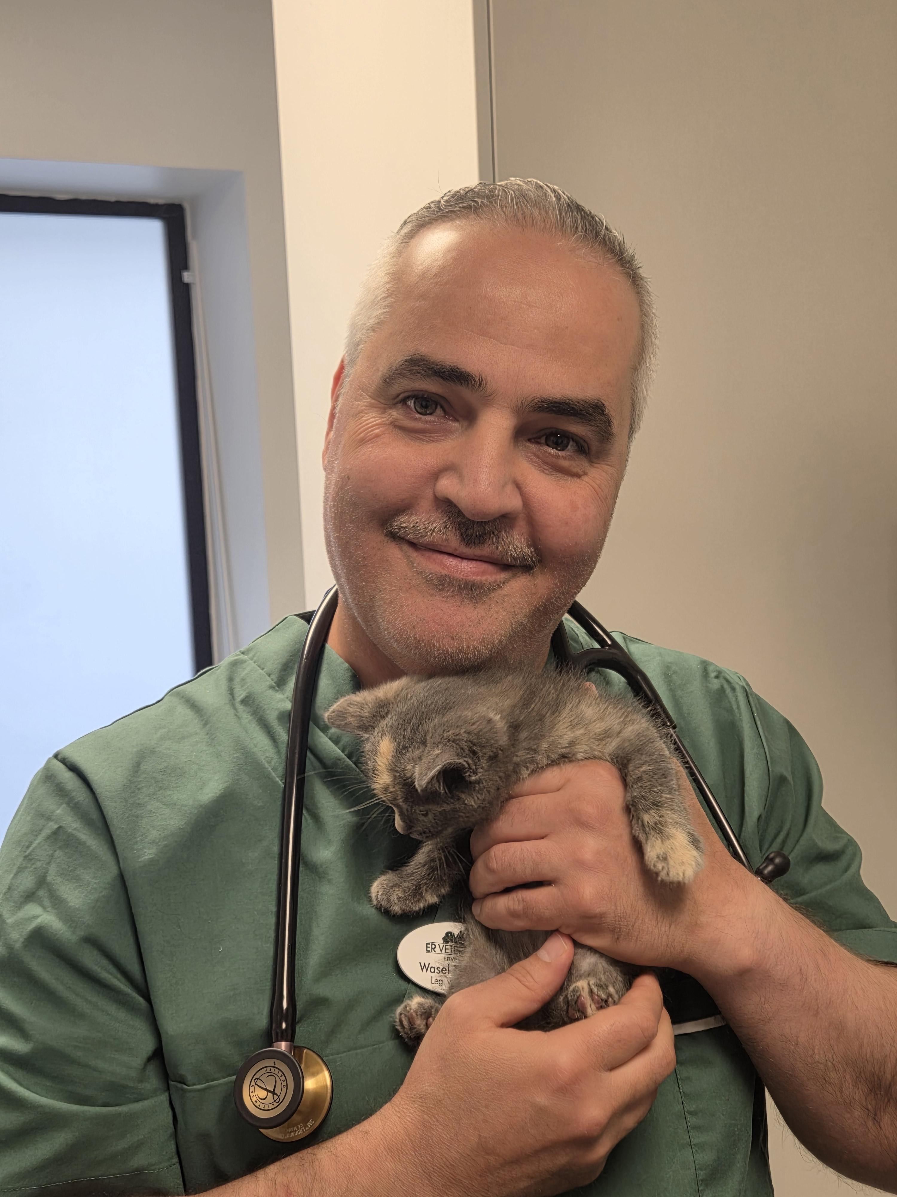 Wasel Tahhan, Leg veterinär
